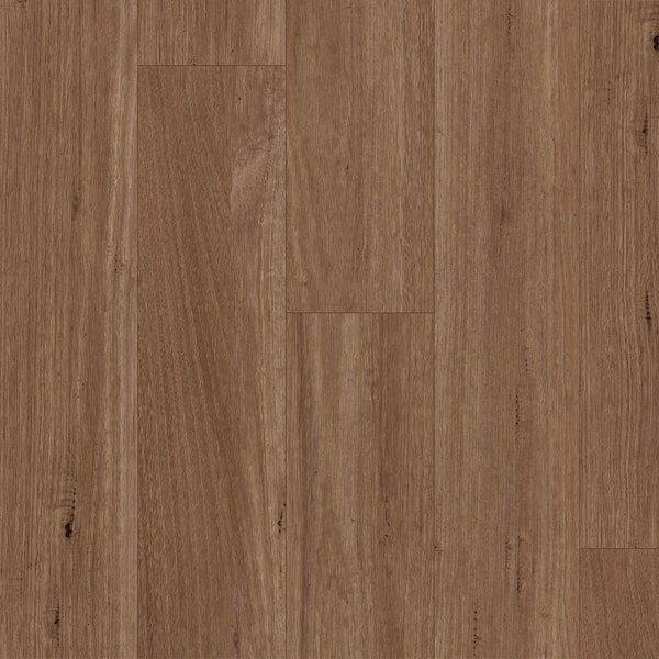 Spotted Gum 600x600