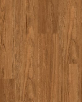 Northern Spotted Gum